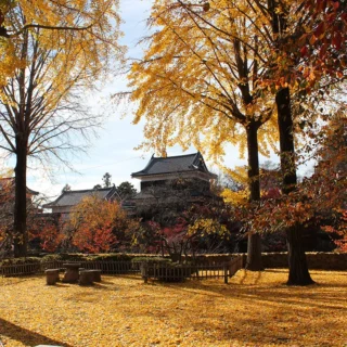 上田城跡公園の紅葉 お車約30分