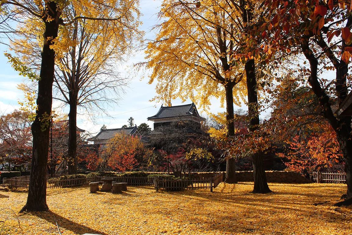 上田城跡公園の紅葉 お車約30分